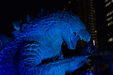 2014年7月31日撮影