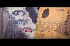 2014�N9��������ɂĎB�e