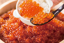 2014�N10����