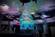 �����N�����B�e