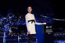 2014�N11���B�e