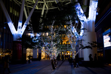 2014�N11���B�e