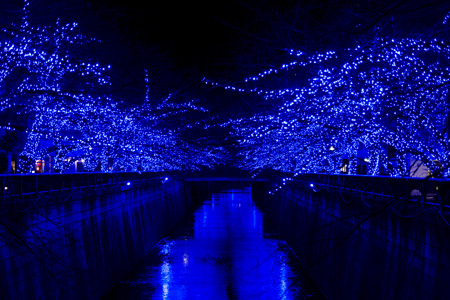 Nakameguro �̓��A