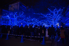 �����N�����B�e