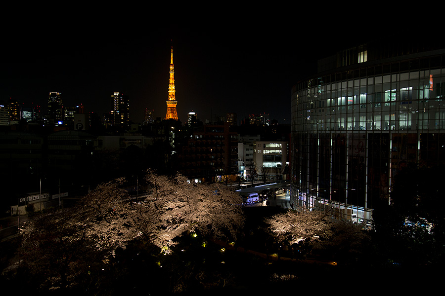 �����f�[�g�i�r,�B�e,�I���W�i��,���f�]�ڋ֎~,