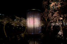 2015�N3��31���B�e,�Z�{�؃q���Y,���,�N���X�^���ԉ�