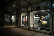 2015�N4���B�e�A�Z�{�؃q���Y������v���W�F�N�g