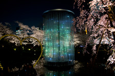 2015�N4���B�e�A�Z�{�؃q���Y������v���W�F�N�g