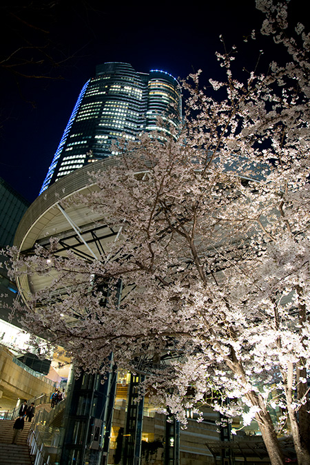 �����f�[�g�i�r,�B�e,�I���W�i��,���f�]�ڋ֎~,