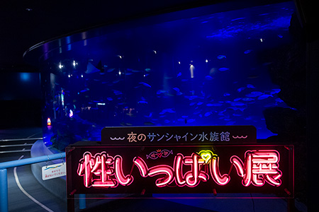 夜のサンシャイン水族館
