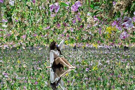 《Floating Flower Garden: 花と我と同根、庭と我と一体》の画像