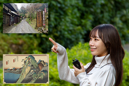 東海道ウォーキングツアー