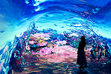 ワンダリア横浜