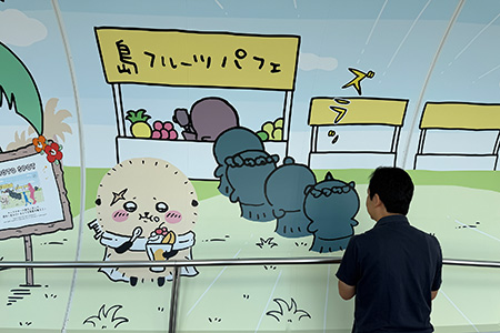 ●●の画像
