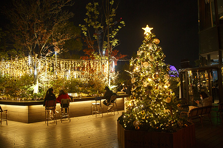 東急プラザ 表参道原宿のクリスマスイルミネーション