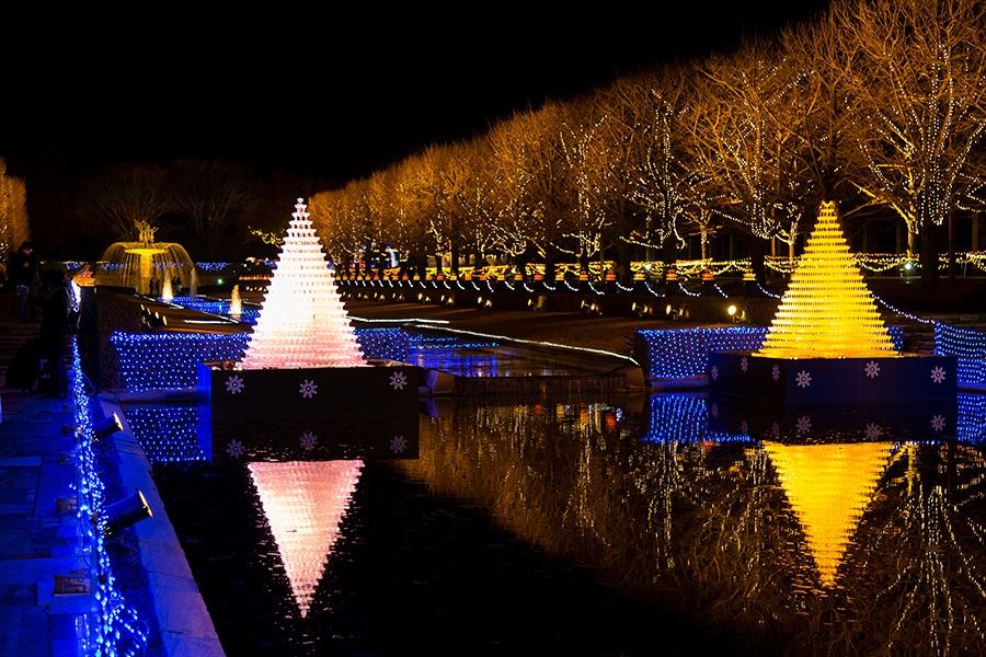 国営昭和記念公園のクリスマスイルミネーション